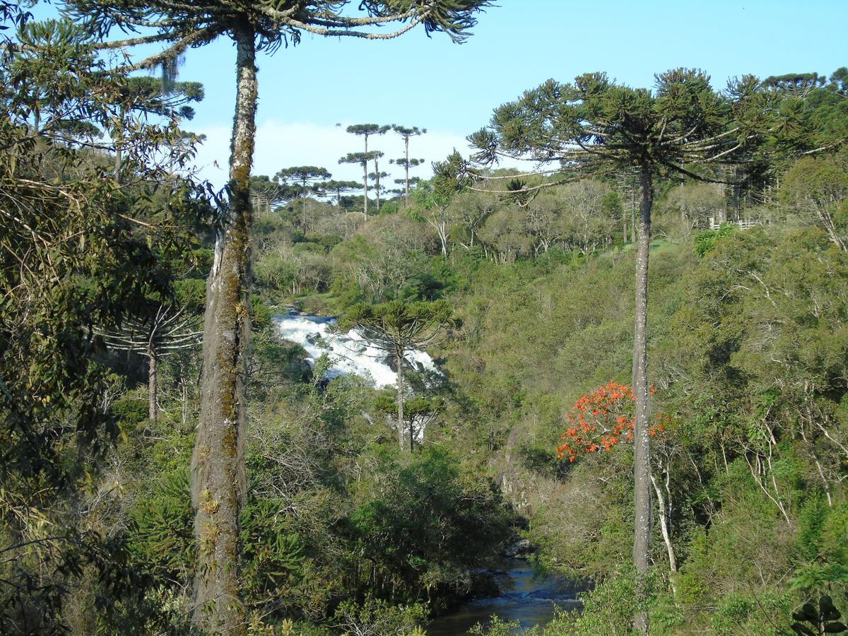 Hotel Refúgio Monte Olimpo Campo Alegre  Esterno foto
