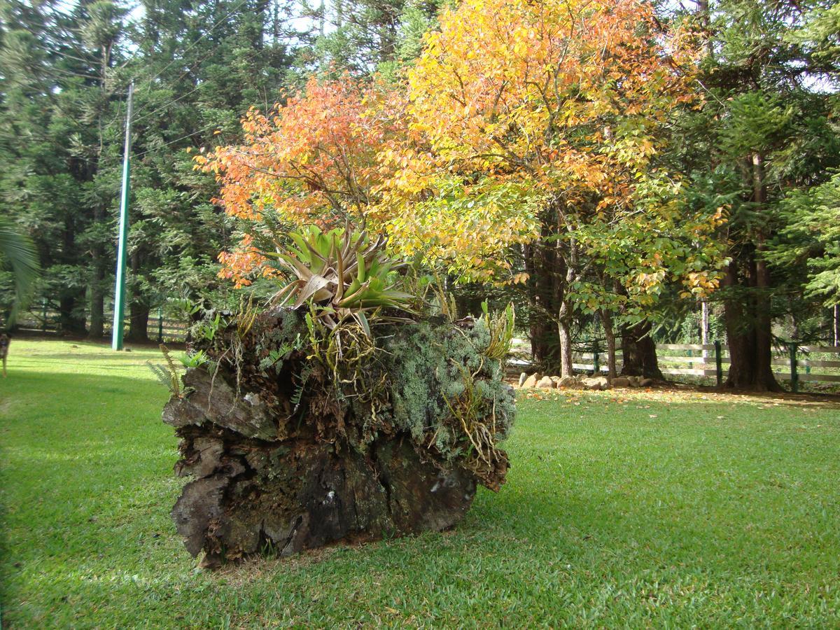 Hotel Refúgio Monte Olimpo Campo Alegre  Esterno foto